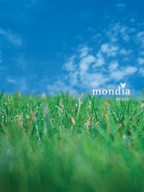 Alveo Mondia NUVALI Digital Brochure .